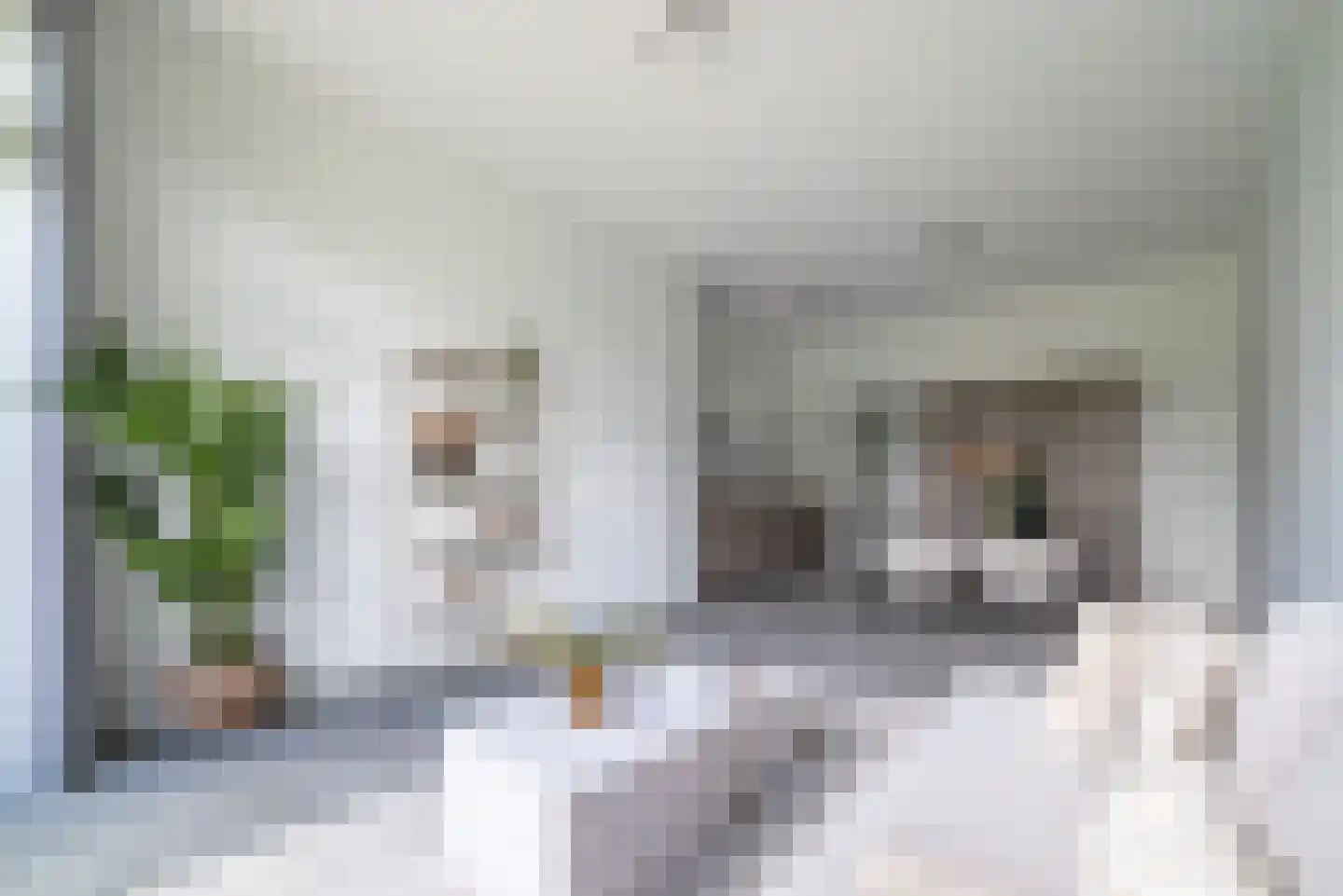 Sausalitolaan 22 Amsterdam thumbnail 5