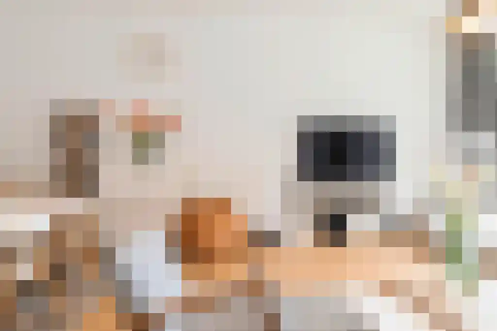 Sausalitolaan 24 Amsterdam thumbnail 6
