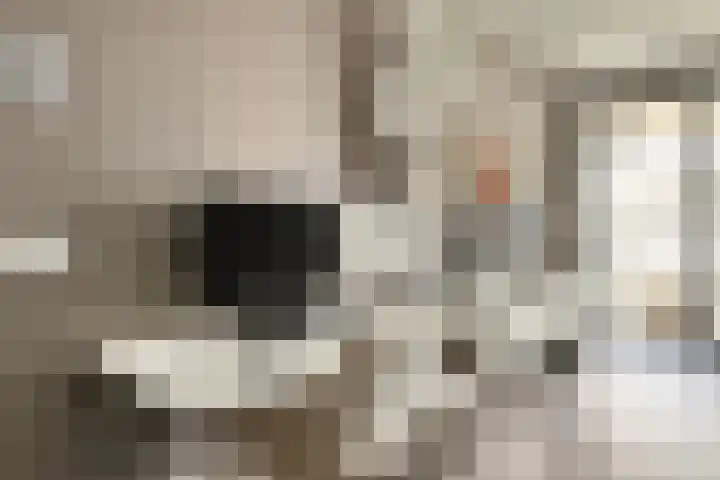 Sausalitolaan 44 Amsterdam thumbnail 11