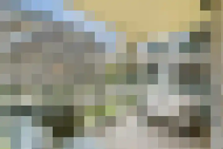 Sausalitolaan 44 Amsterdam thumbnail 13
