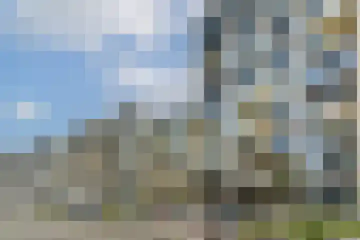 Sausalitolaan 44 Amsterdam thumbnail 25