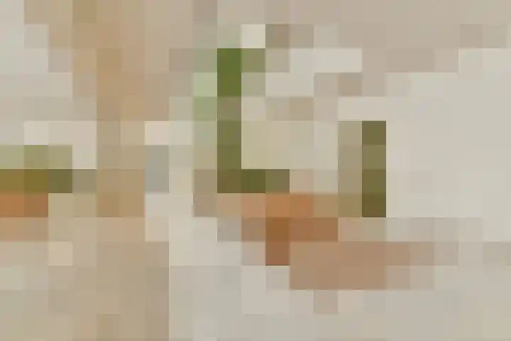 Sausalitolaan 44 Amsterdam thumbnail 4