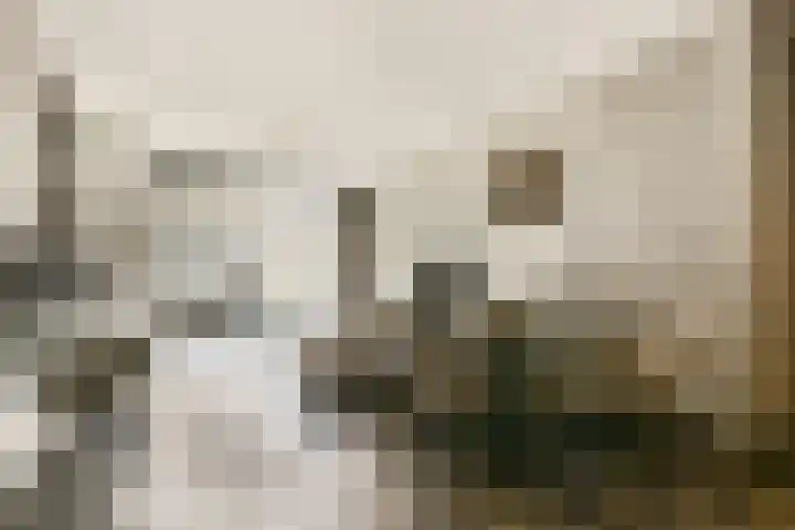 Sausalitolaan 44 Amsterdam thumbnail 6