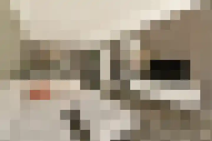 Sausalitolaan 44 Amsterdam thumbnail 8