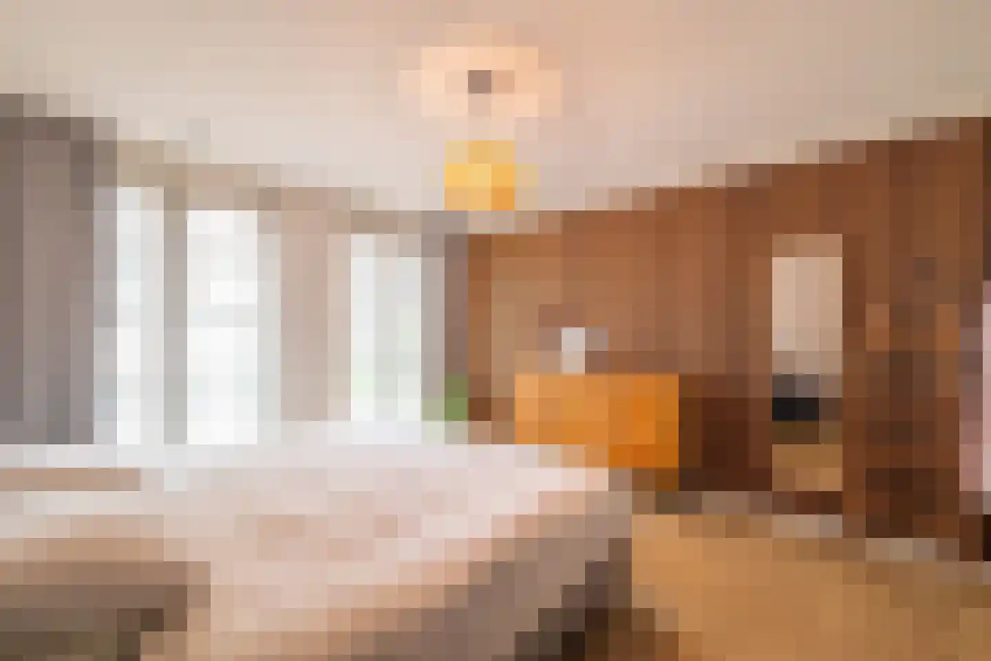 Sausalitolaan 50 Amsterdam thumbnail 12