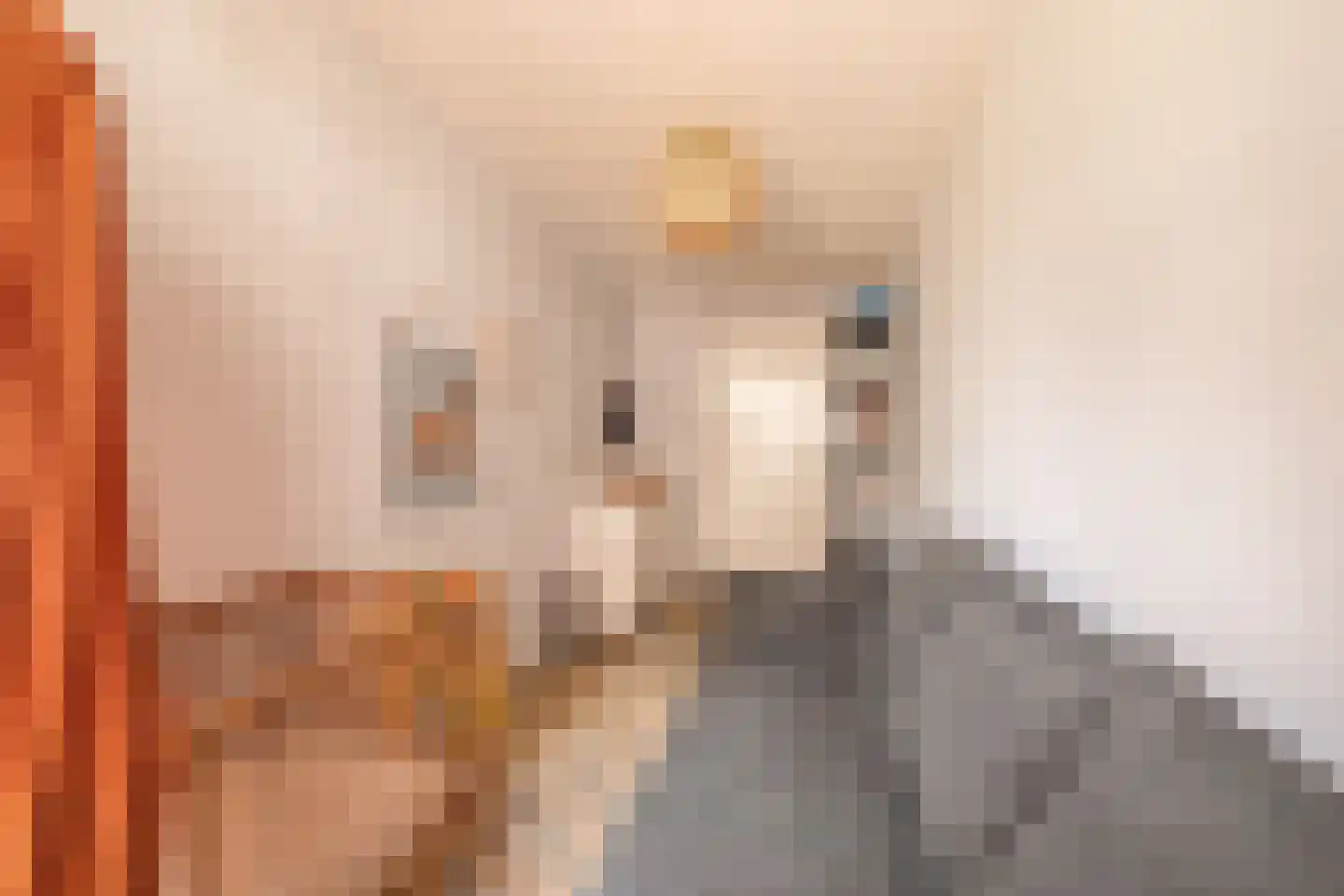 Sausalitolaan 50 Amsterdam thumbnail 15