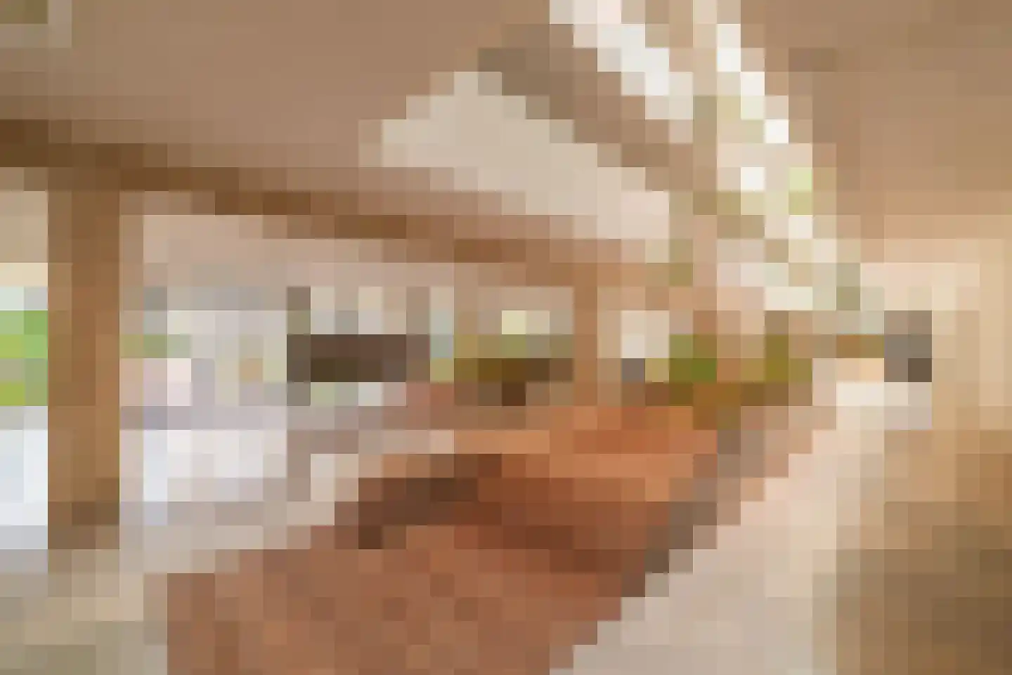 Sausalitolaan 50 Amsterdam thumbnail 21