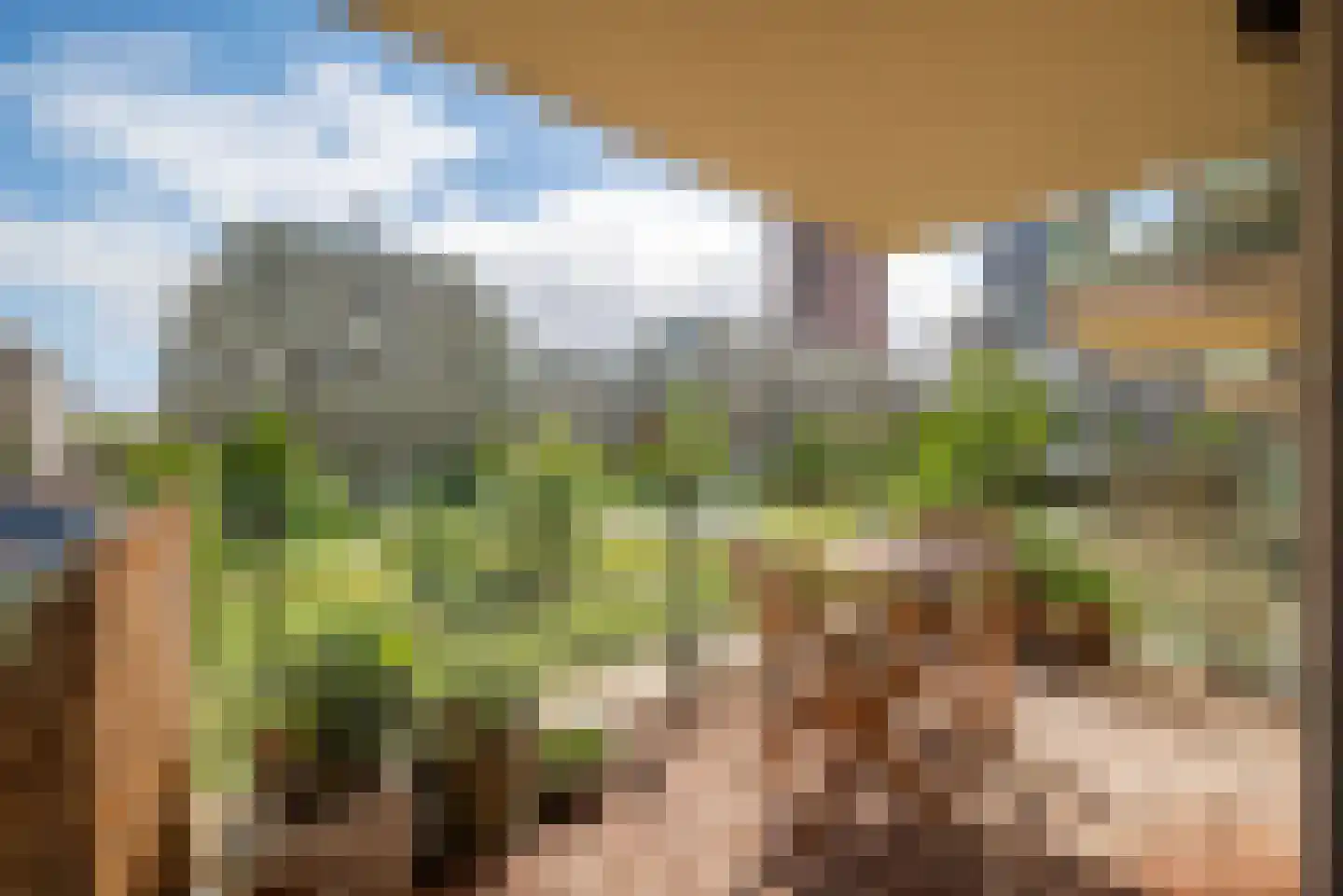 Sausalitolaan 50 Amsterdam thumbnail 4