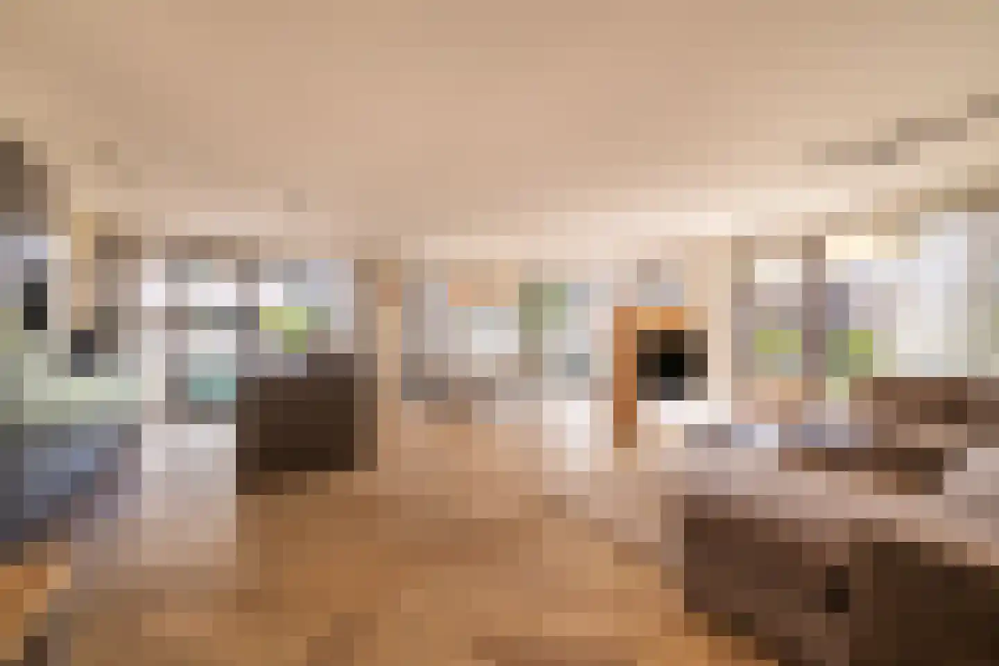 Sausalitolaan 50 Amsterdam thumbnail 5