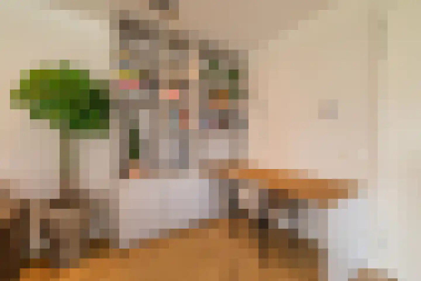Sausalitolaan 50 Amsterdam thumbnail 9