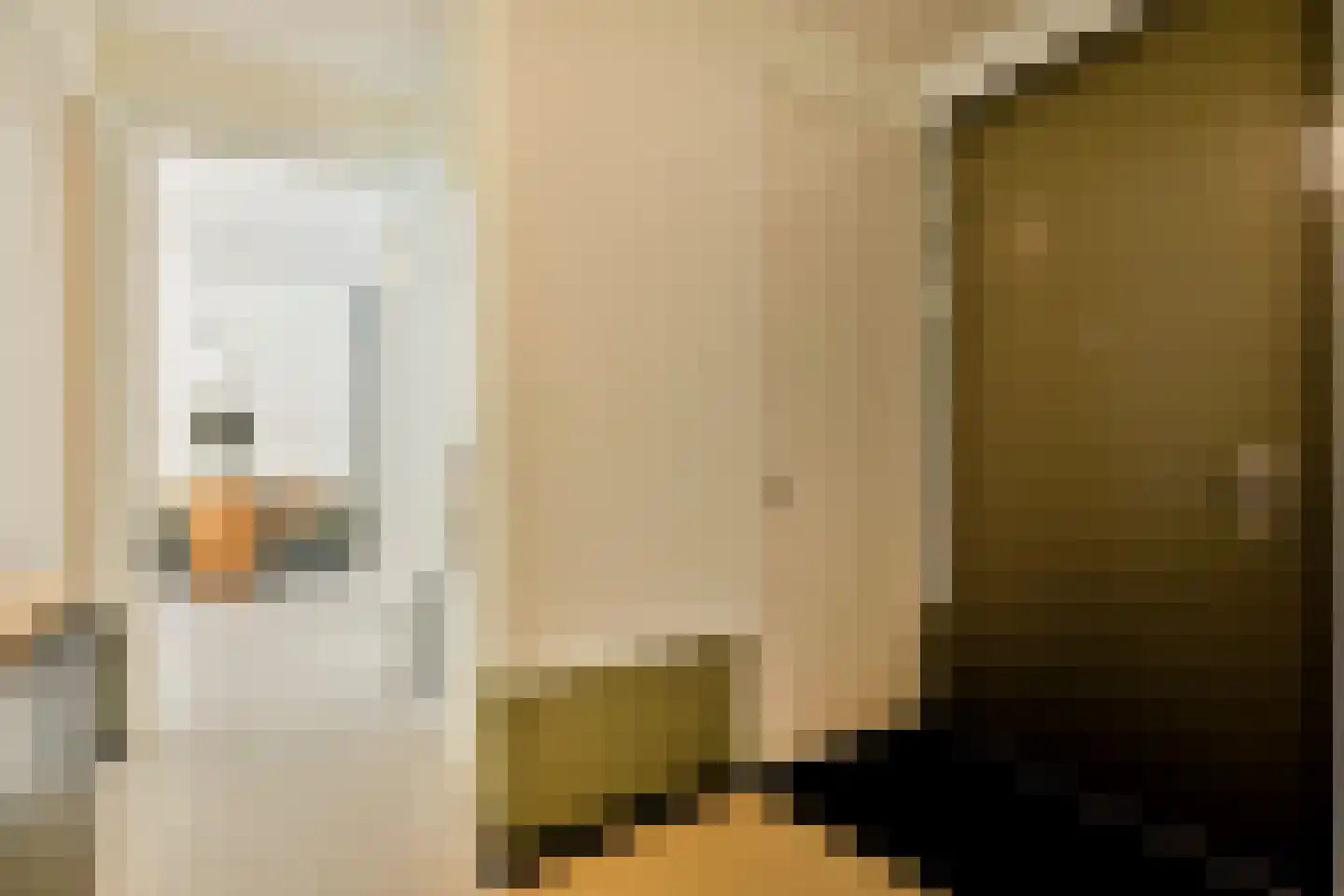 Sausalitolaan 74 Amsterdam thumbnail 21