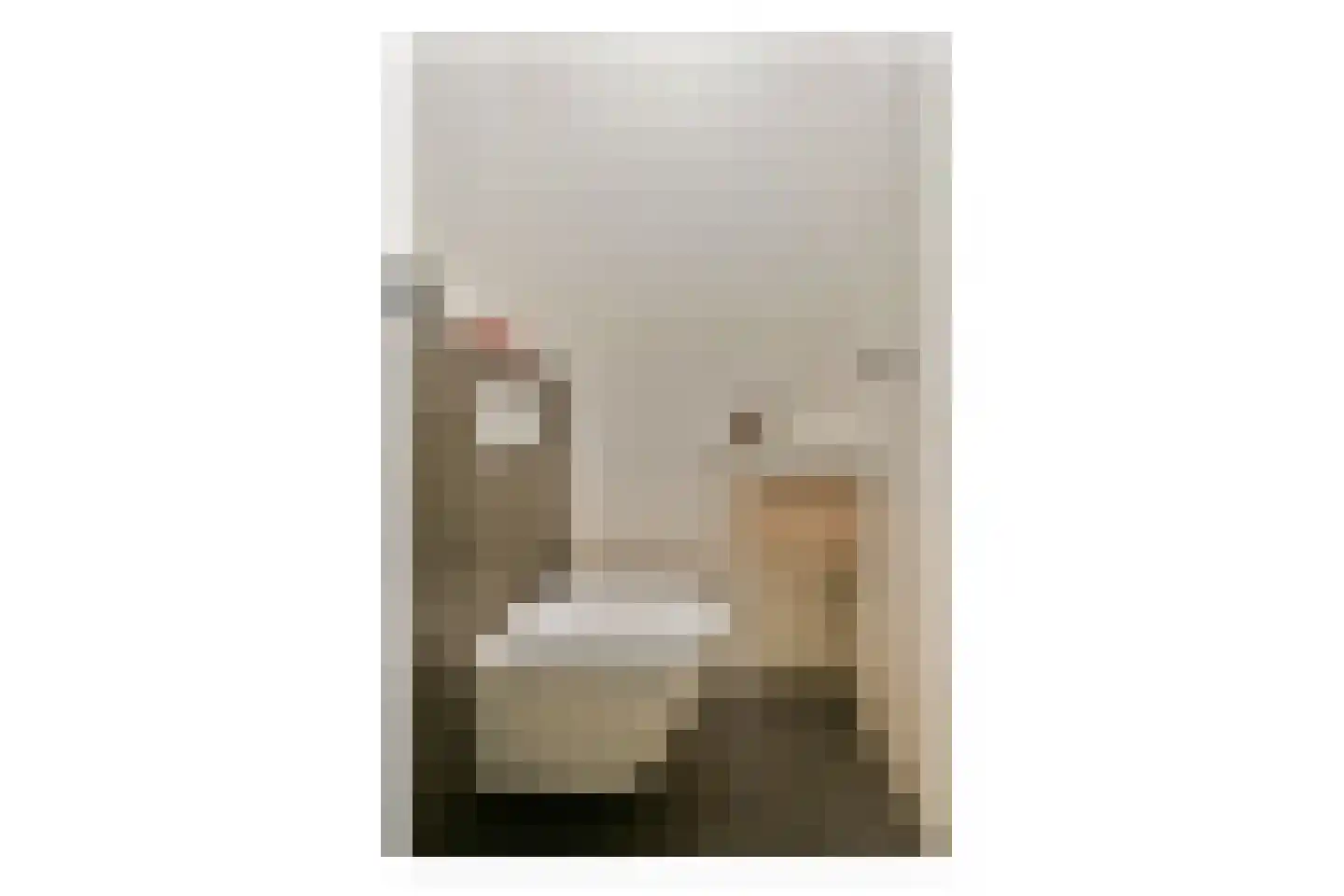 Sausalitolaan 74 Amsterdam thumbnail 23