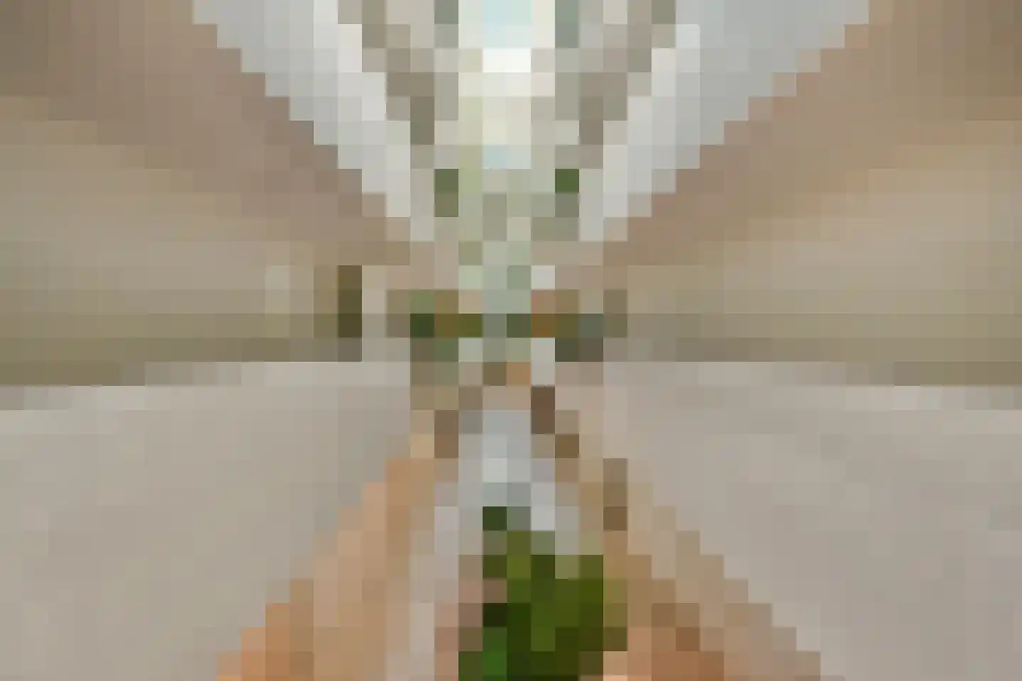 Sausalitolaan 74 Amsterdam thumbnail 25