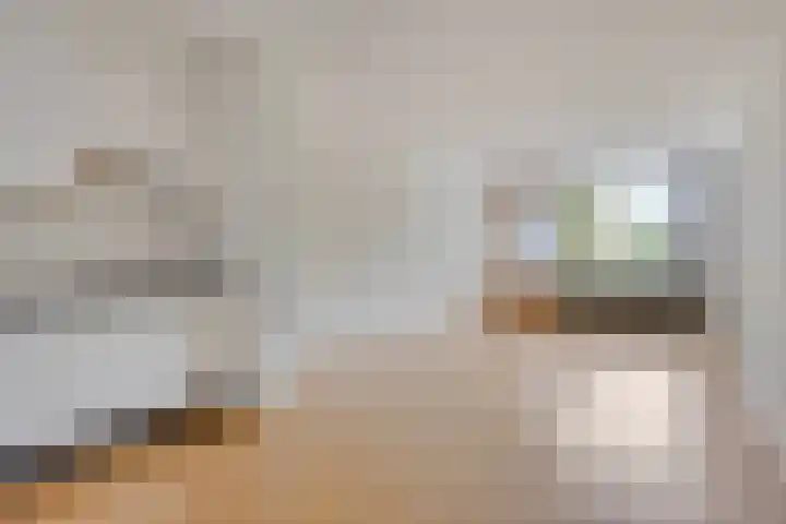 Sauterneslaan 3 D Maastricht thumbnail 10