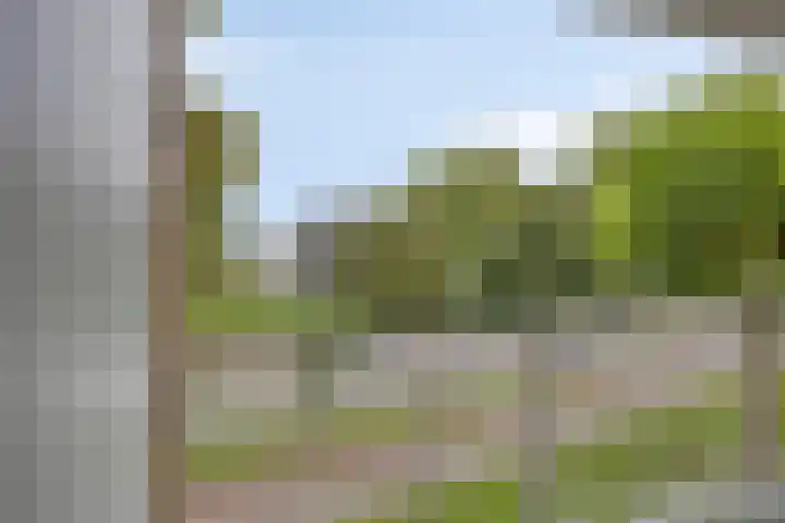 Sauterneslaan 3 D Maastricht thumbnail 12