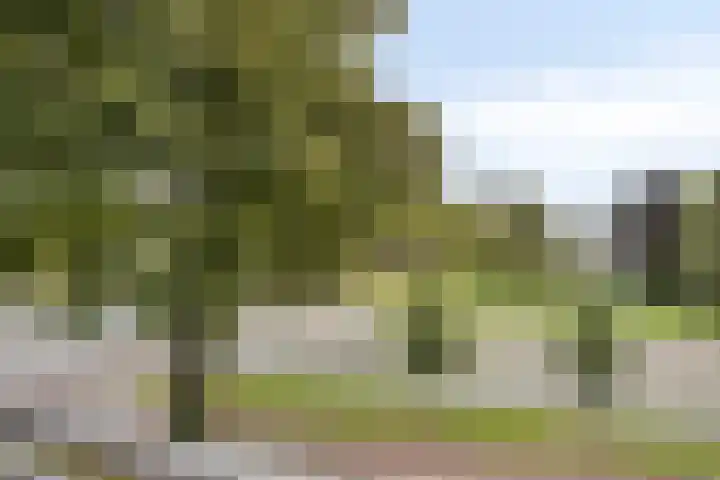 Sauterneslaan 3 D Maastricht thumbnail 13