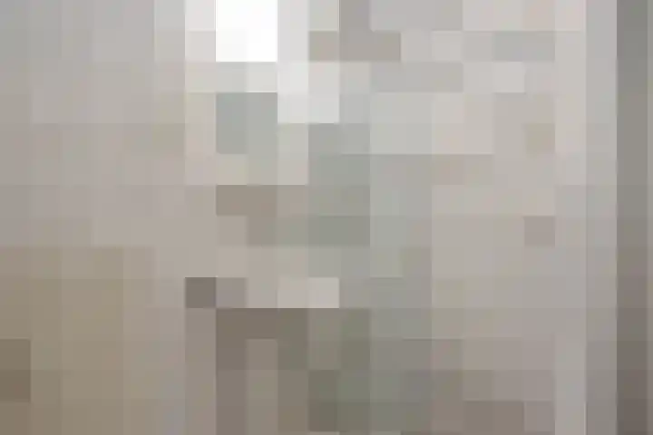 Sauterneslaan 3 D Maastricht thumbnail 16