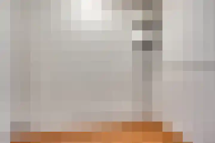 Sauterneslaan 3 D Maastricht thumbnail 19