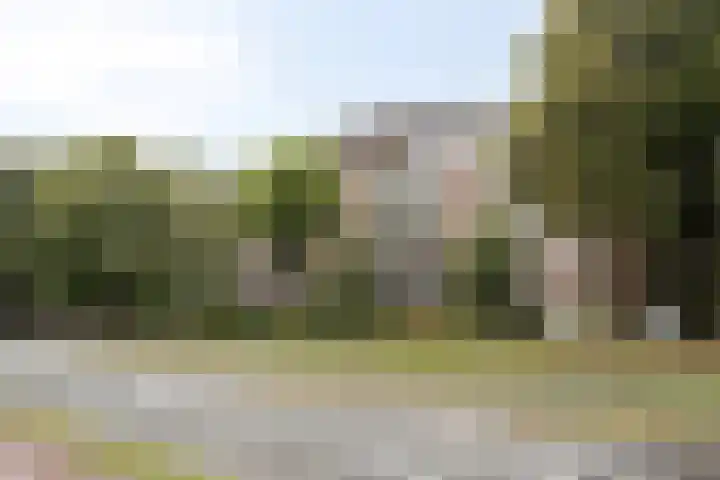 Sauterneslaan 3 D Maastricht foto 2