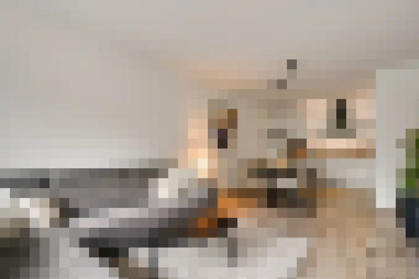Sauterneslaan 36 C Maastricht thumbnail 7