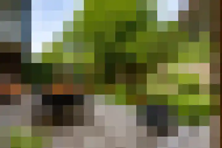 Sauterneslaan 44 A Maastricht thumbnail 15