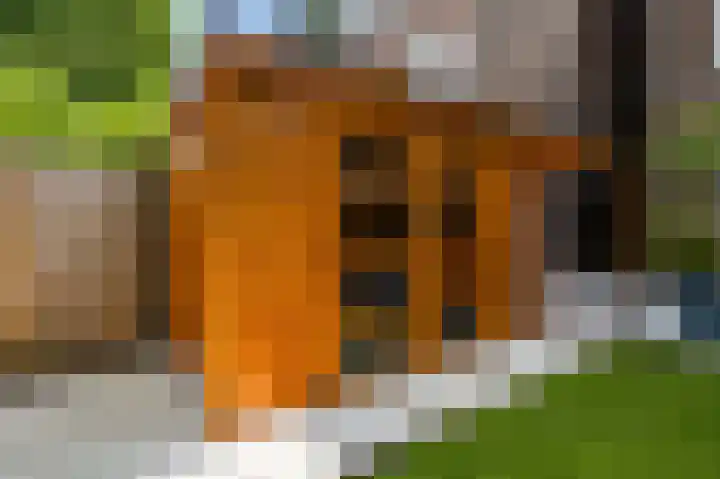 Sauterneslaan 44 A Maastricht thumbnail 19