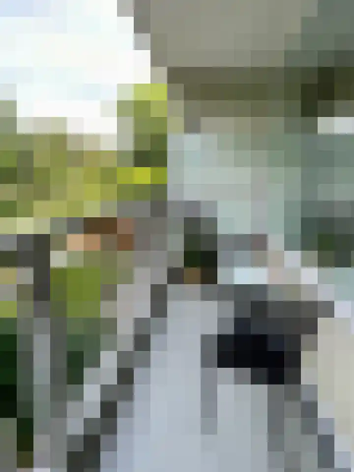 Sauterneslaan 46 B Maastricht thumbnail 17