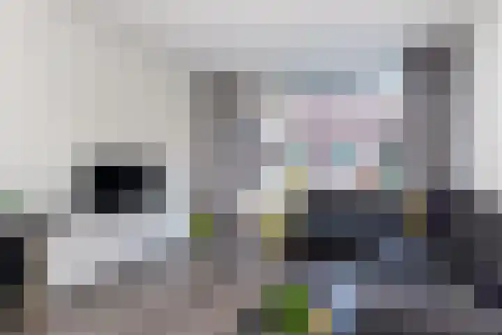 Sauterneslaan 6 D Maastricht thumbnail 8