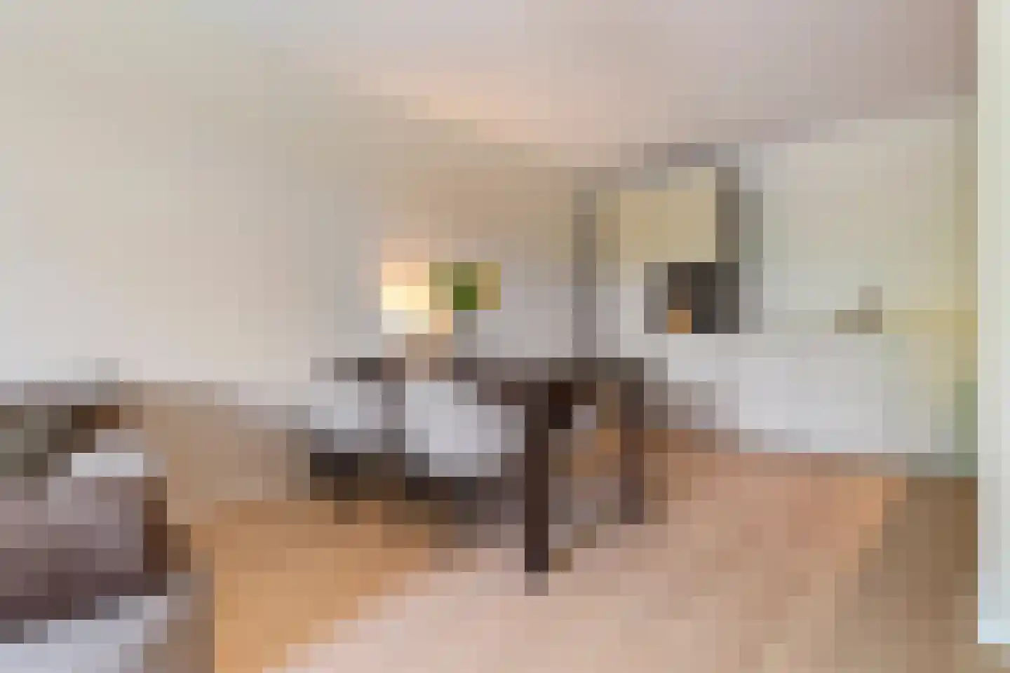 Sauterneslaan 7 C Maastricht thumbnail 11