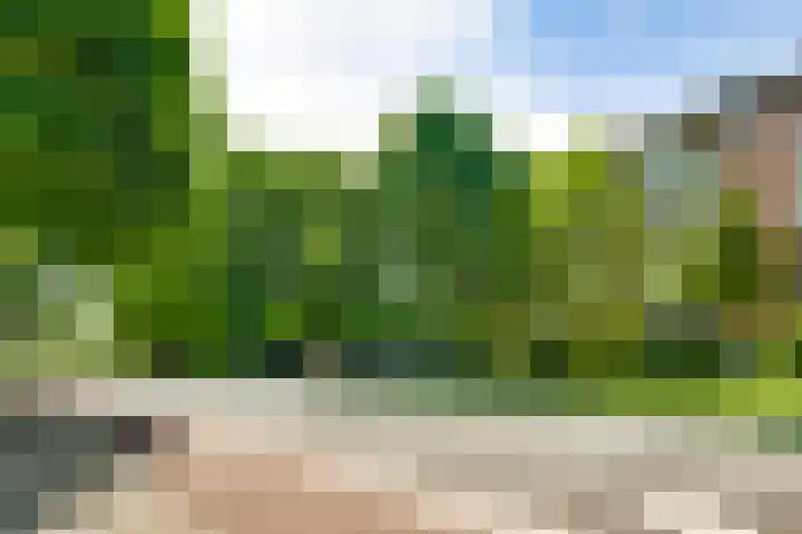 Sauterneslaan 8 D Maastricht thumbnail 18