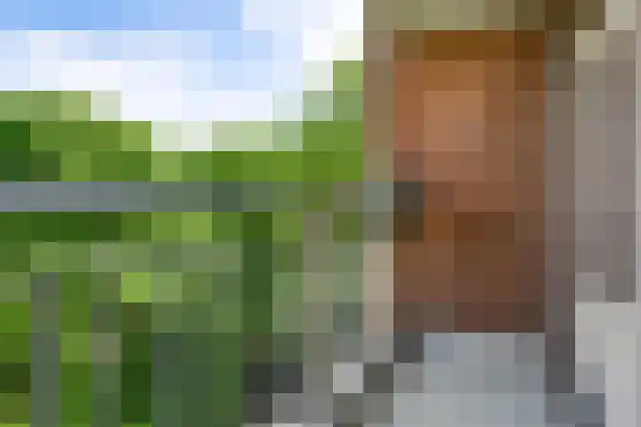 Sauterneslaan 8 D Maastricht thumbnail 4