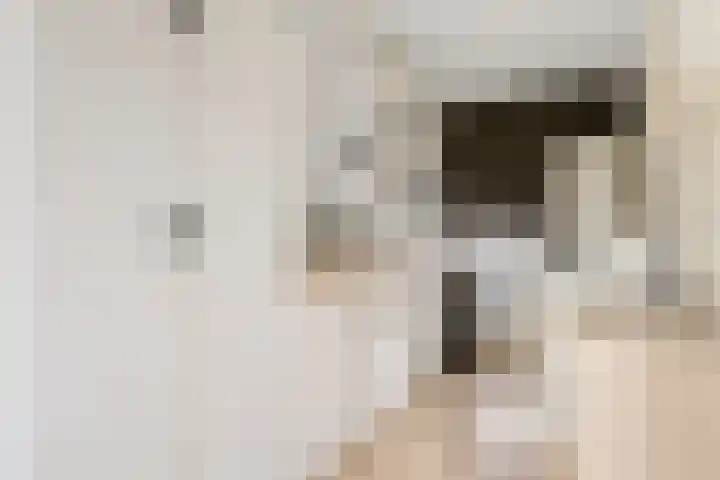 Savallelaan 84 Voorburg thumbnail 5