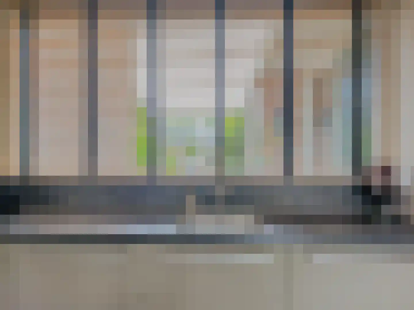 Savanne 132 Capelle aan den IJssel thumbnail 10