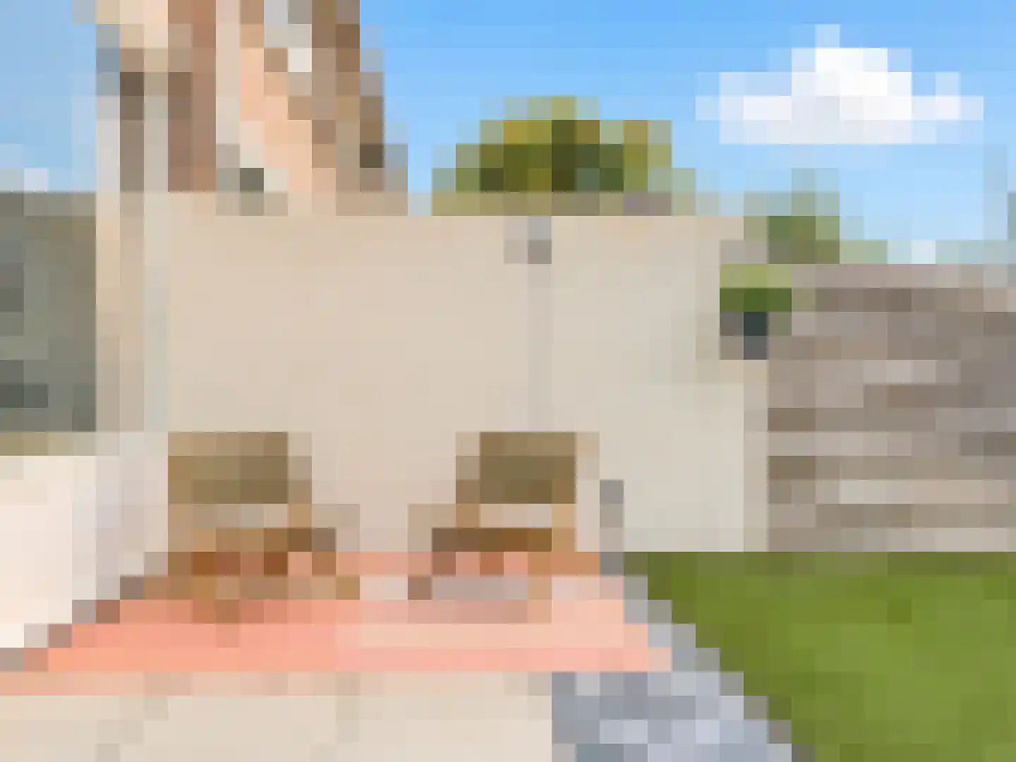 Savanne 132 Capelle aan den IJssel thumbnail 17