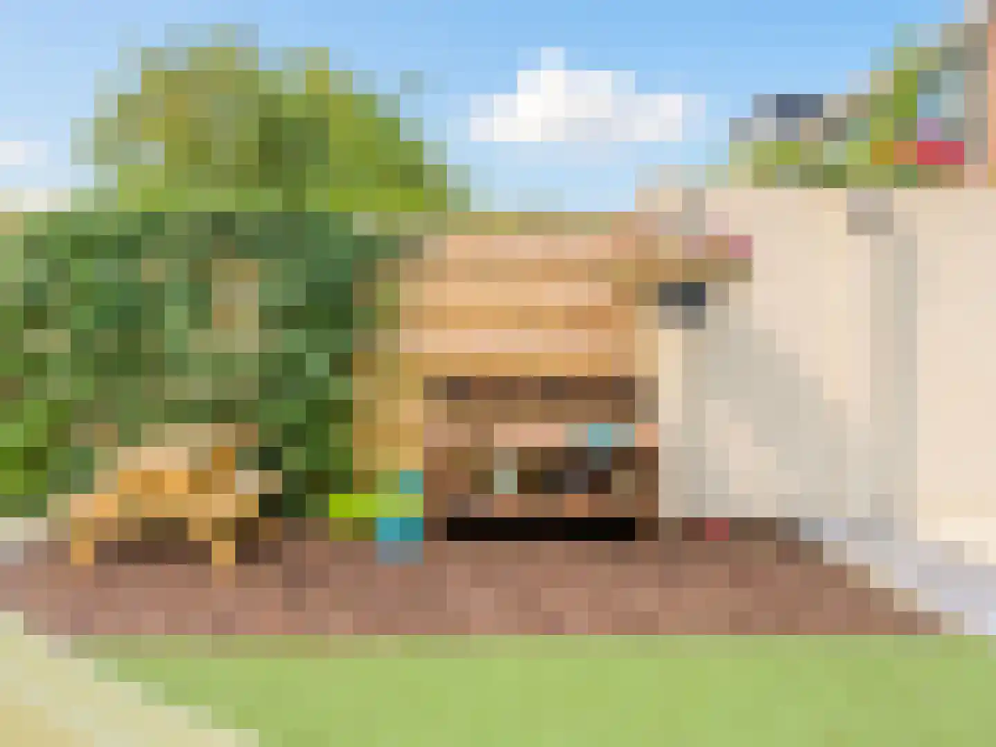 Savanne 132 Capelle aan den IJssel thumbnail 19