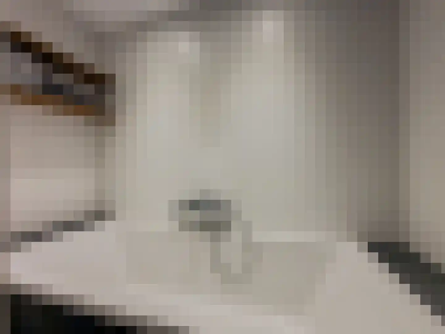 Savanne 132 Capelle aan den IJssel thumbnail 27