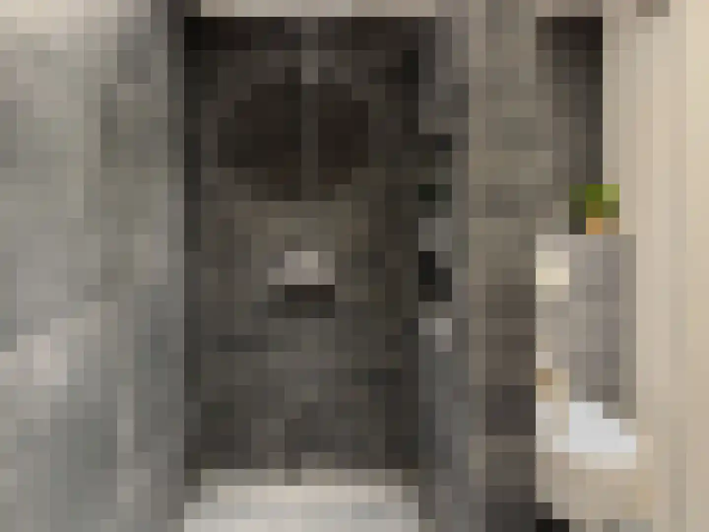 Savanne 132 Capelle aan den IJssel thumbnail 30