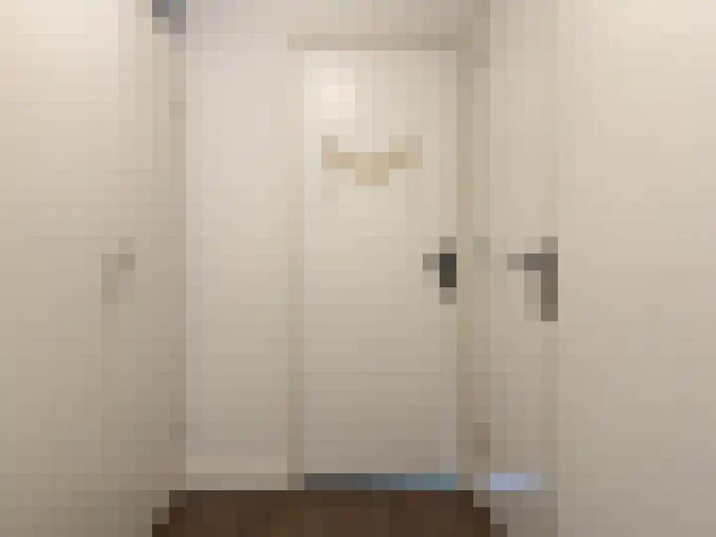 Savanne 132 Capelle aan den IJssel thumbnail 31