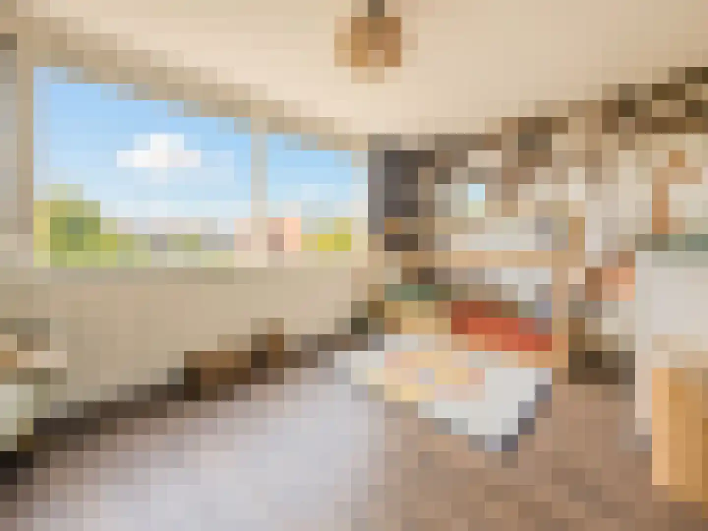 Savanne 132 Capelle aan den IJssel thumbnail 32