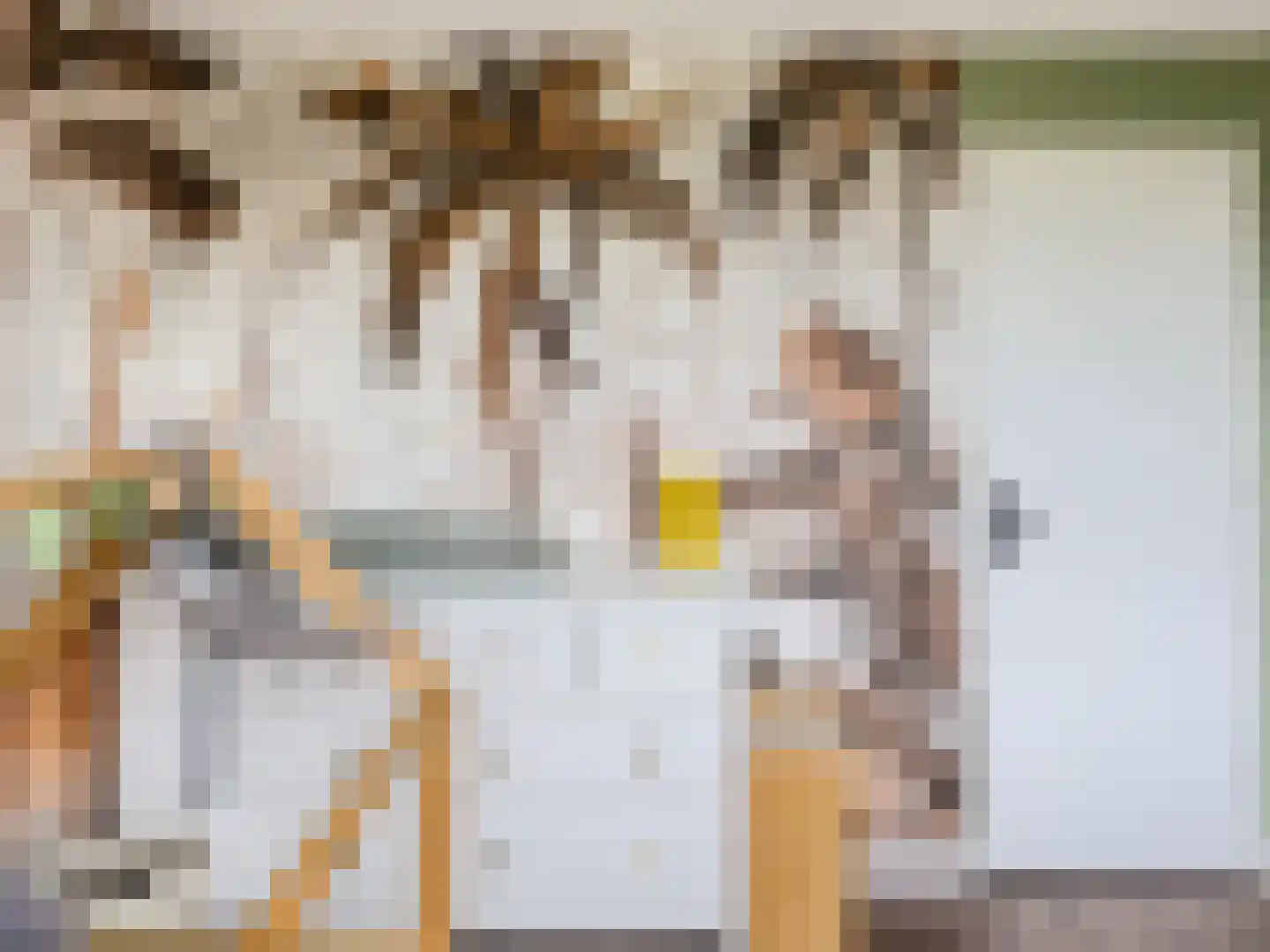 Savanne 132 Capelle aan den IJssel thumbnail 34