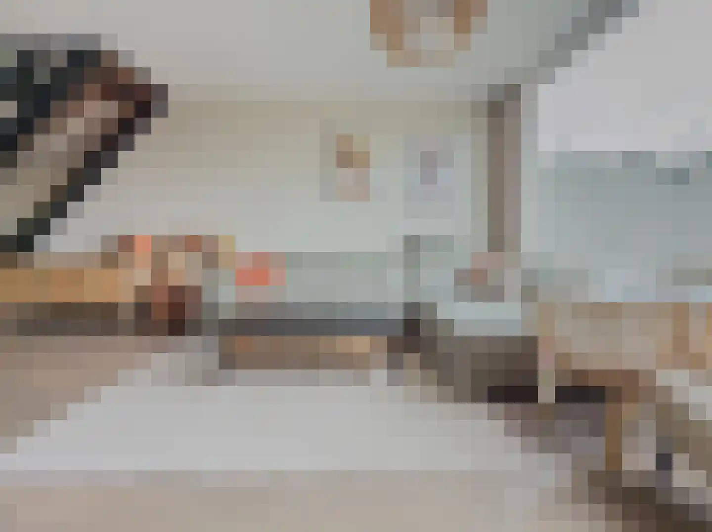 Savanne 132 Capelle aan den IJssel thumbnail 4