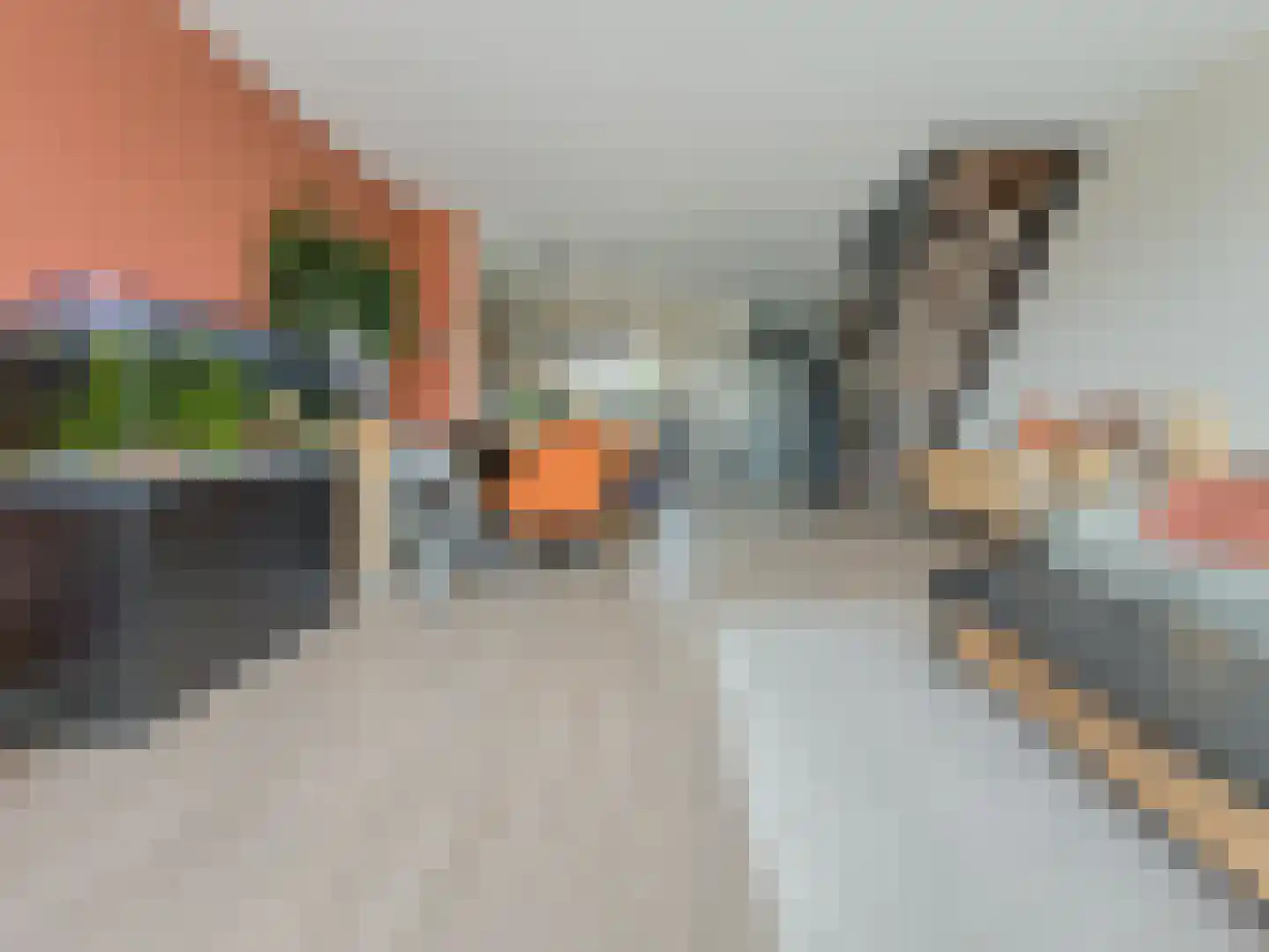 Savanne 132 Capelle aan den IJssel thumbnail 6