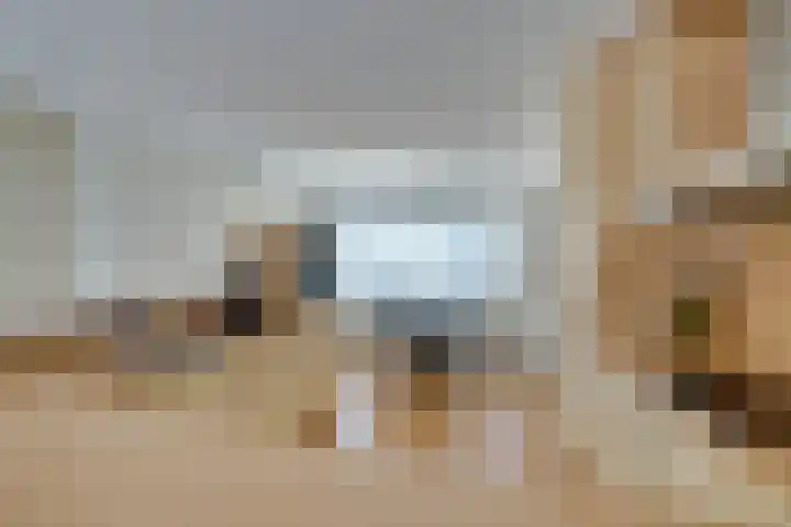 Savannestraat 23 Purmerend thumbnail 18