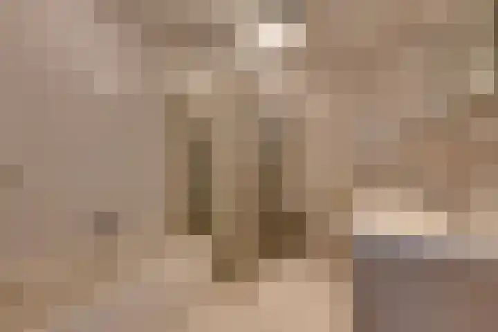 Savannestraat 23 Purmerend thumbnail 42