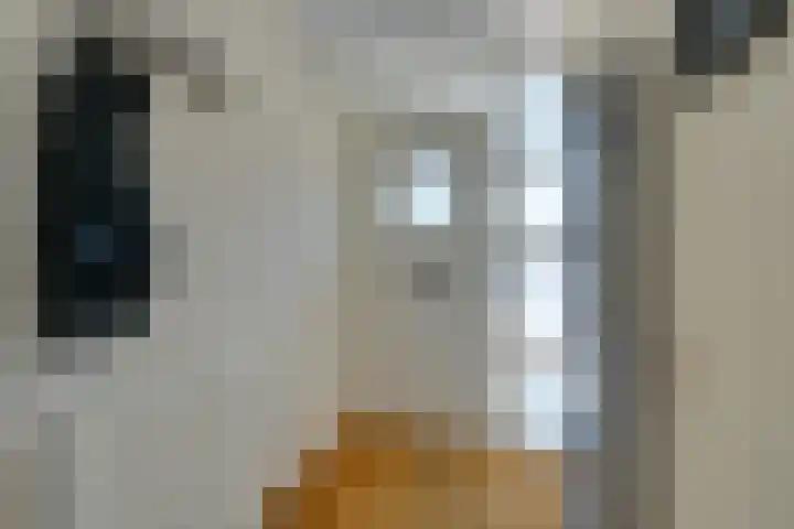 Savannestraat 23 Purmerend thumbnail 9