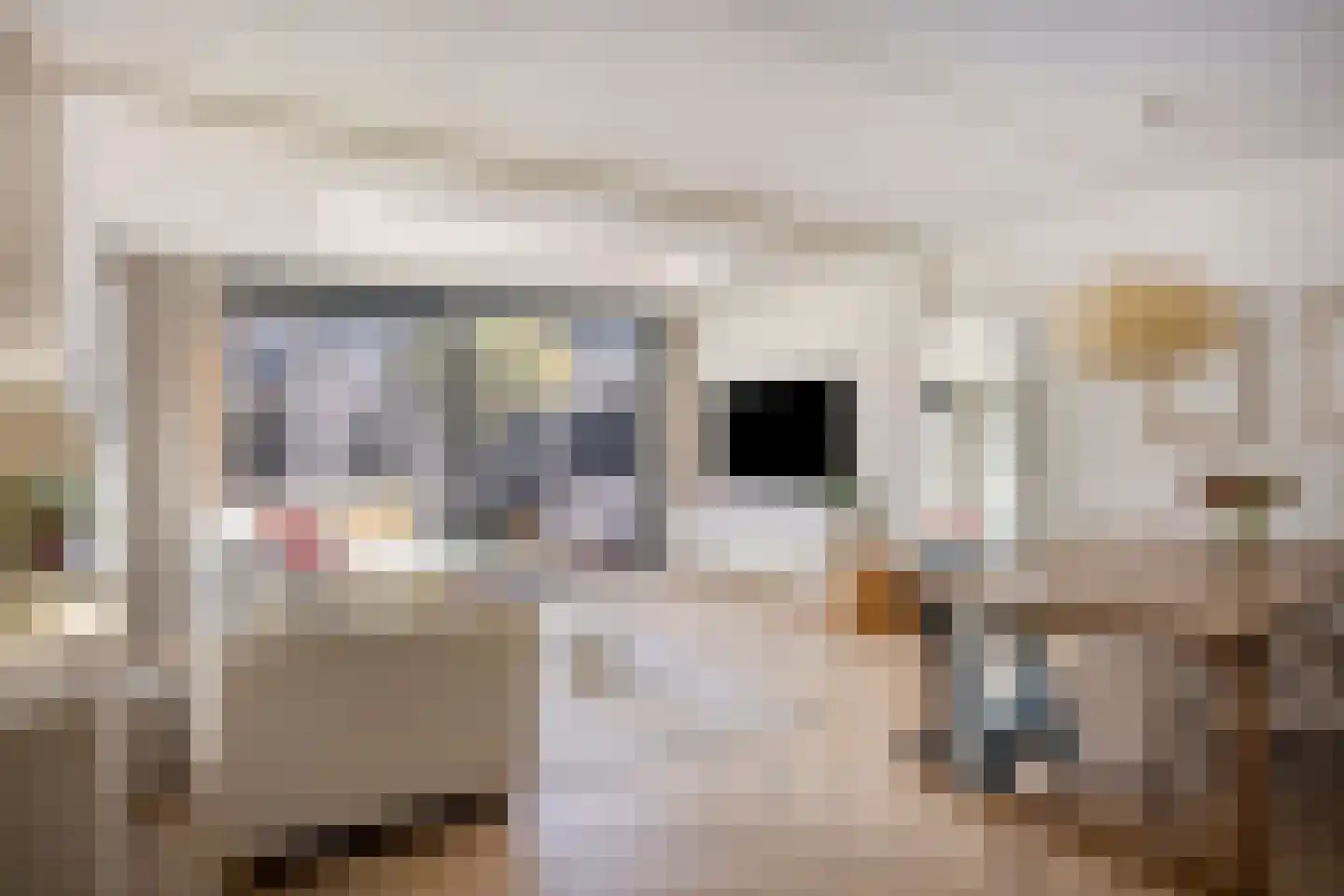 Savannestraat 8 Purmerend thumbnail 14
