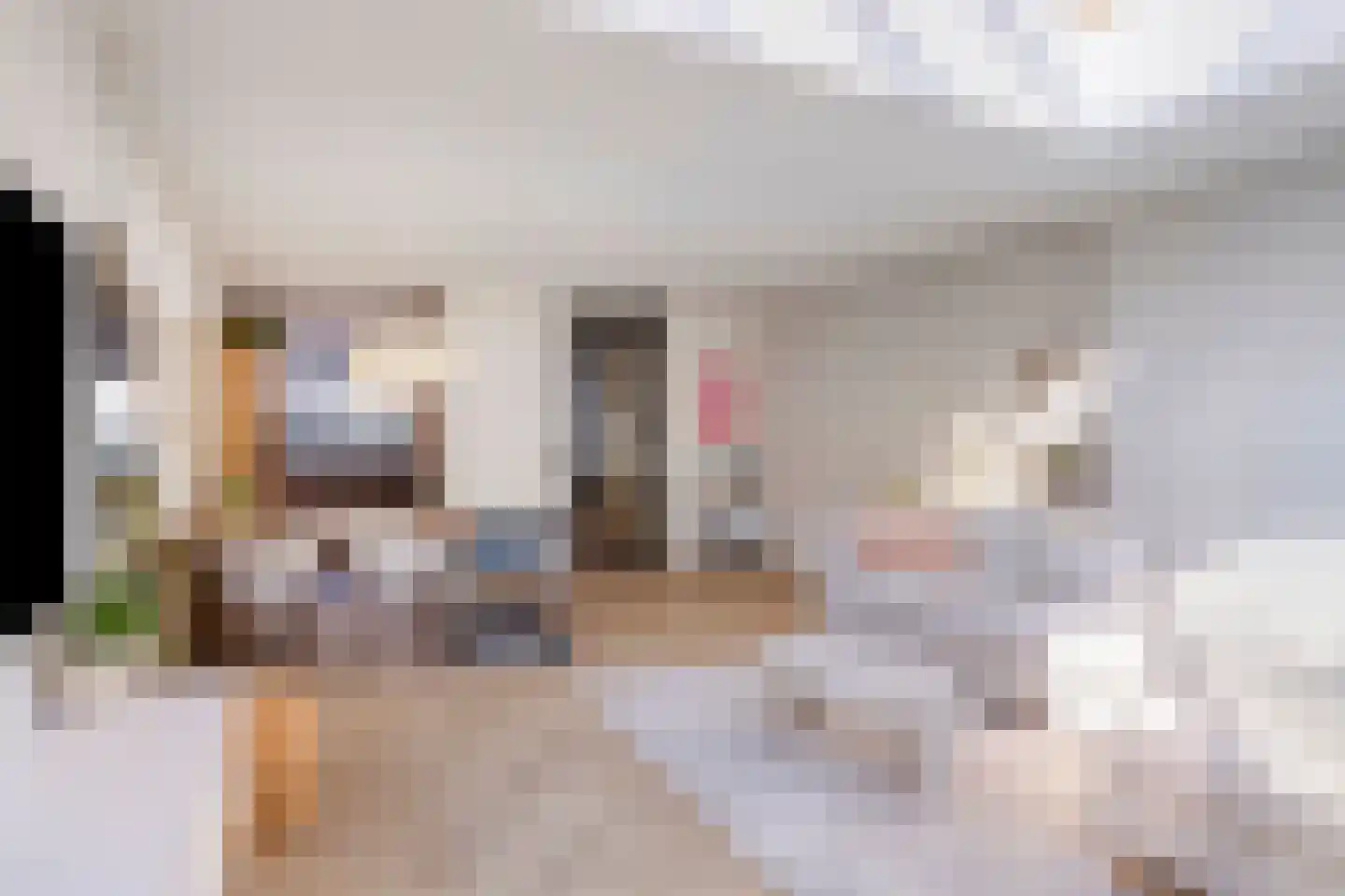 Savannestraat 8 Purmerend thumbnail 18