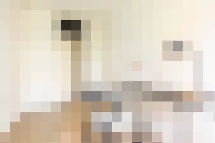 Savelsbos 20 Amsterdam thumbnail 11