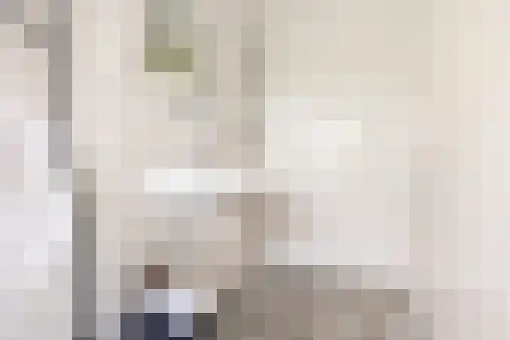 Savelsbos 20 Amsterdam thumbnail 13