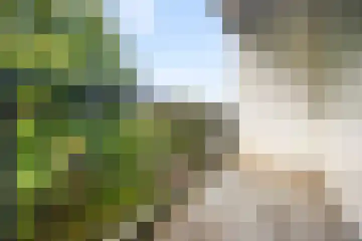 Savelsbos 20 Amsterdam thumbnail 16